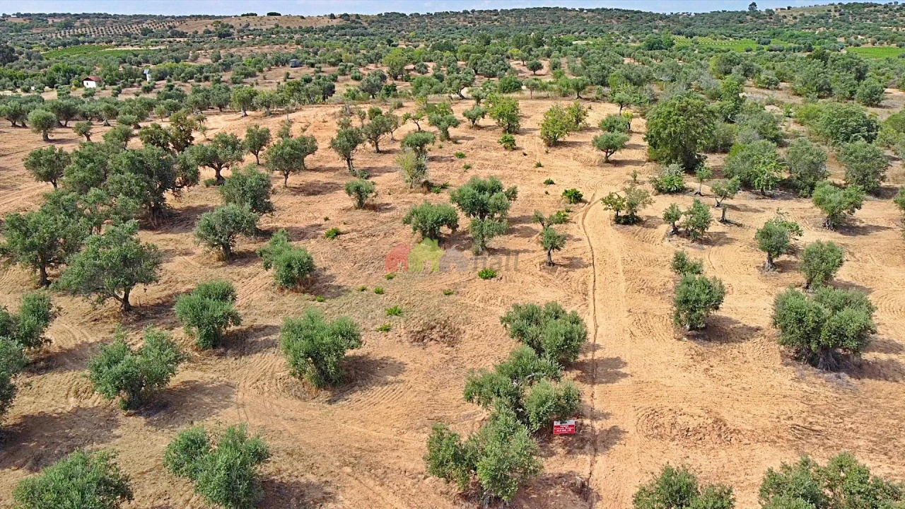 Terreno para Venda em Vila Alva Foto 19