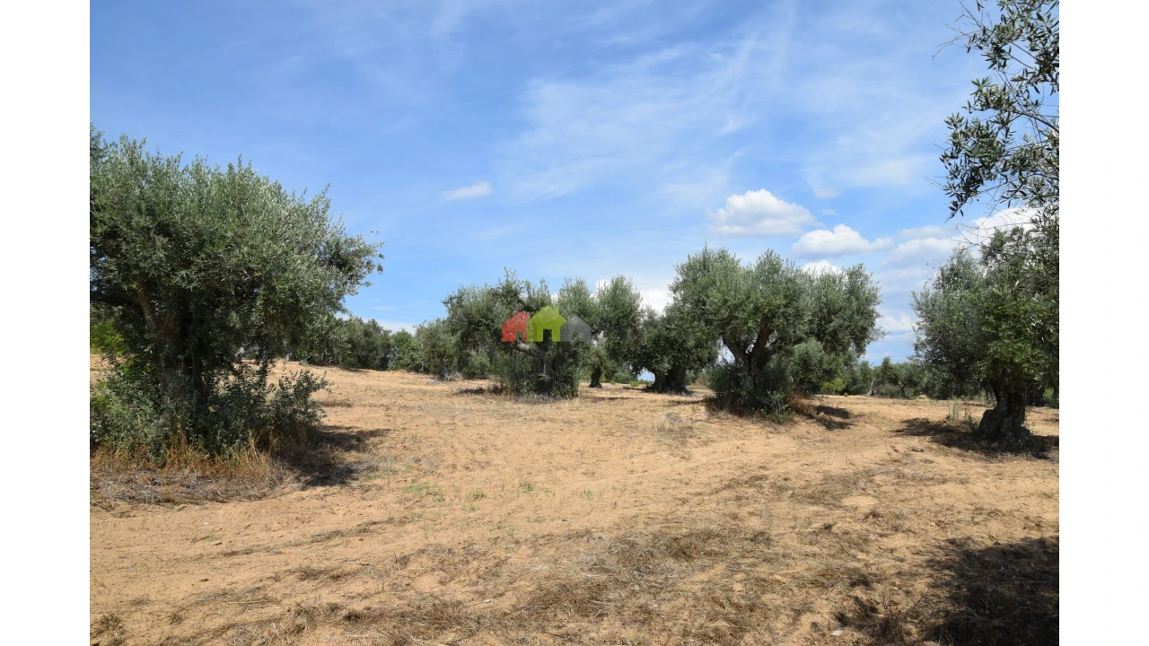 Terreno para Venda em Vila Alva Foto 8