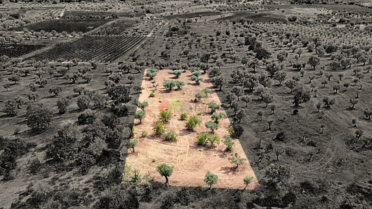 Terreno para Venda em Vila Alva Foto 16
