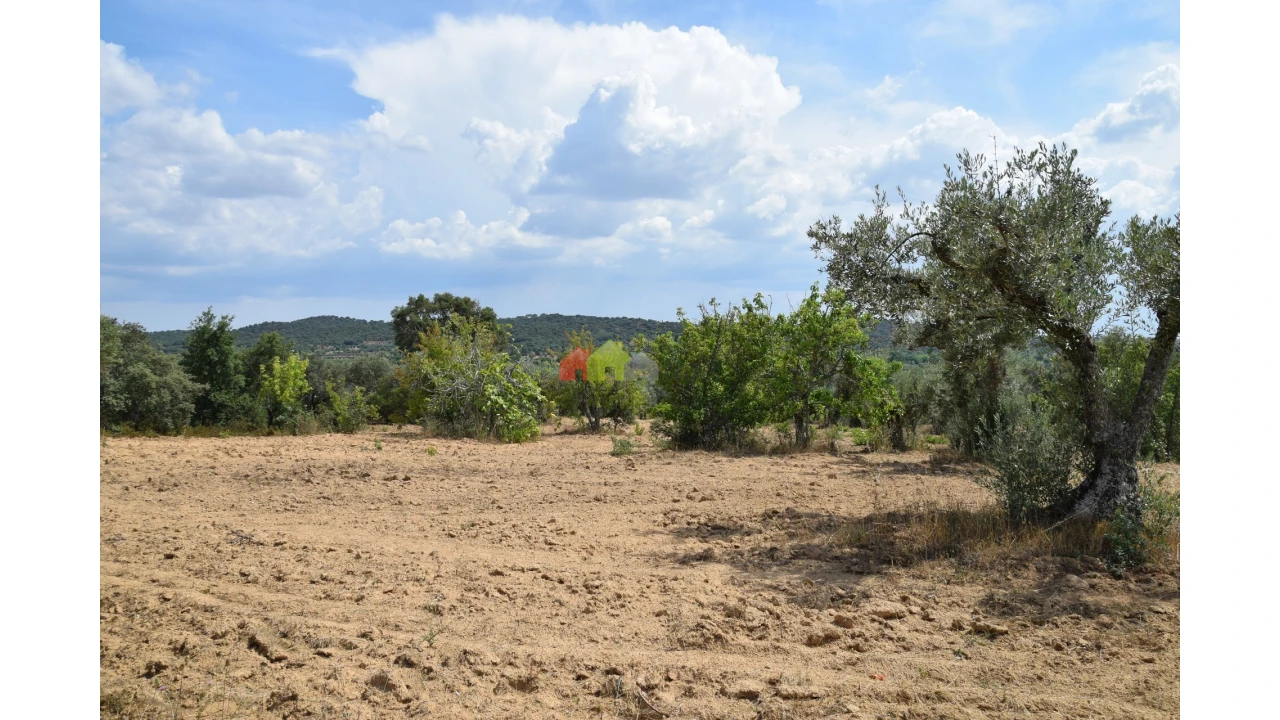 Terreno para Venda em Vila Alva Foto 9