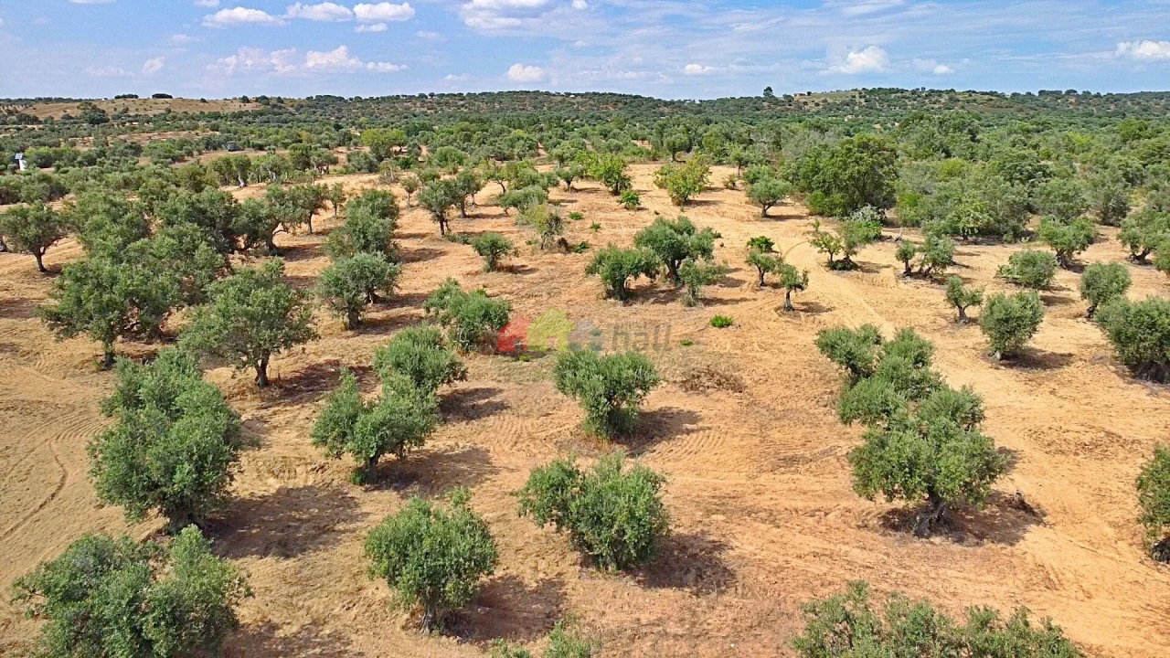 Terreno para Venda em Vila Alva Foto 21