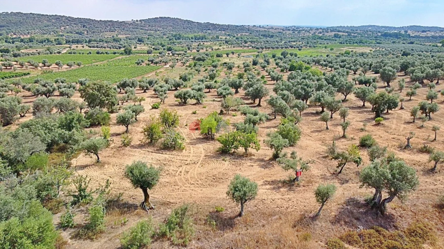 Terreno para Venda em Vila Alva Foto 15