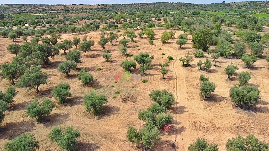 Terreno para Venda em Vila Alva Foto 19
