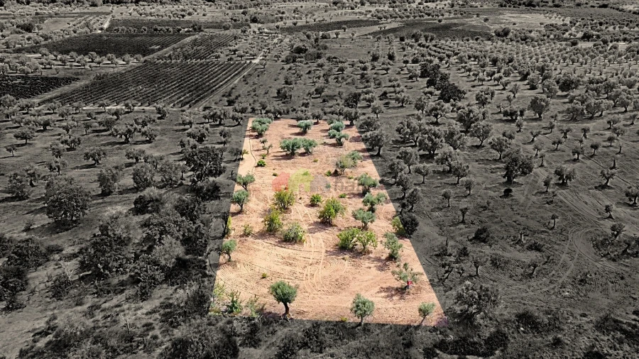 Terreno para Venda em Vila Alva Foto 16