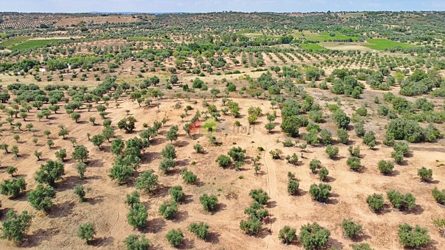 Terreno para Venda em Vila Alva Foto 13