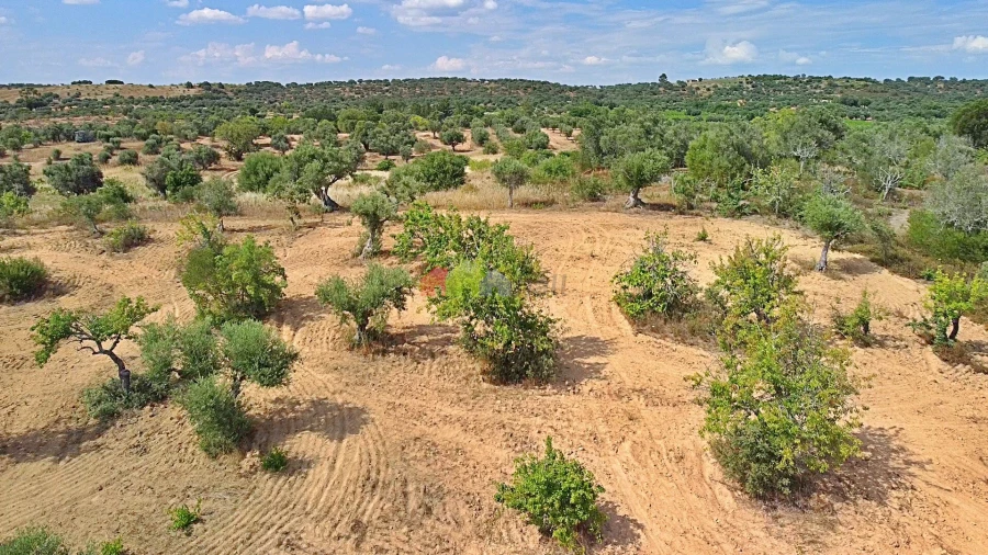 Terreno para Venda em Vila Alva Foto 18