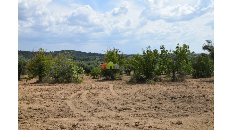 Terreno para Venda em Vila Alva Foto 12