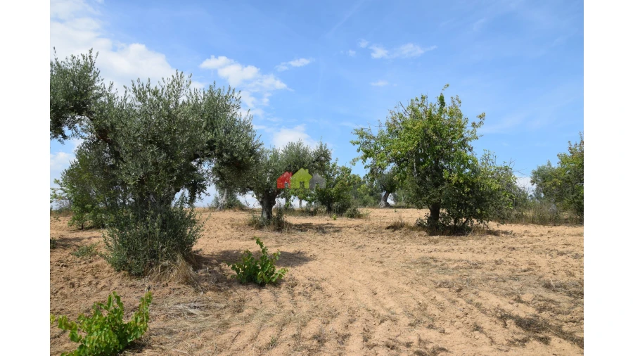Terreno para Venda em Vila Alva Foto 1