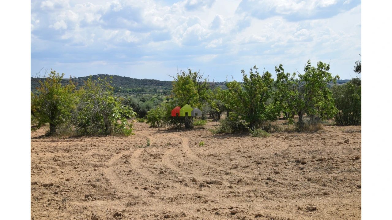 Terreno para Venda em Vila Alva Foto 3