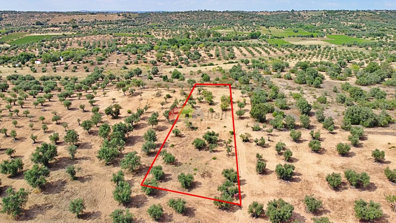 Terreno para Venda em Vila Alva Foto 14