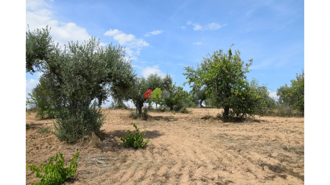 Terreno para Venda em Vila Alva Foto 1