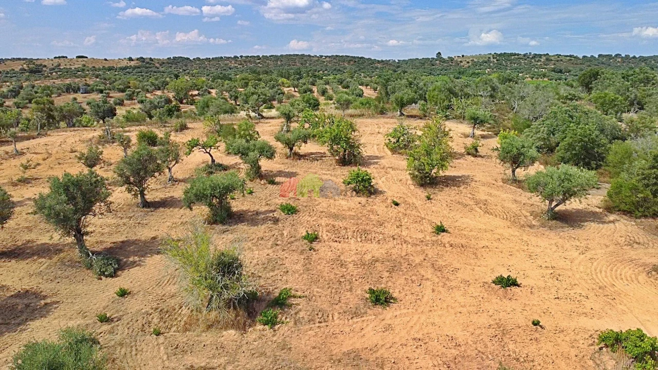 Terreno para Venda em Vila Alva Foto 17