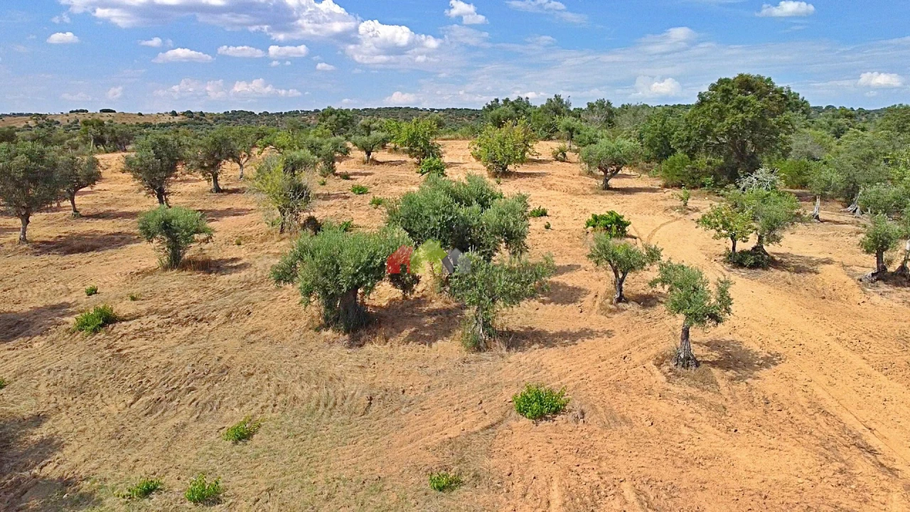 Terreno para Venda em Vila Alva Foto 20