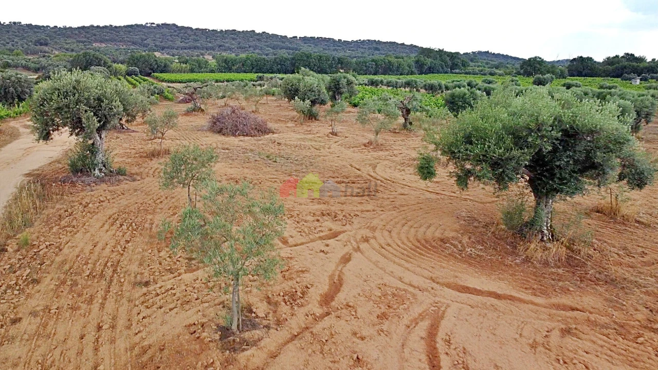 Terreno para Venda em Vila Alva Foto 18