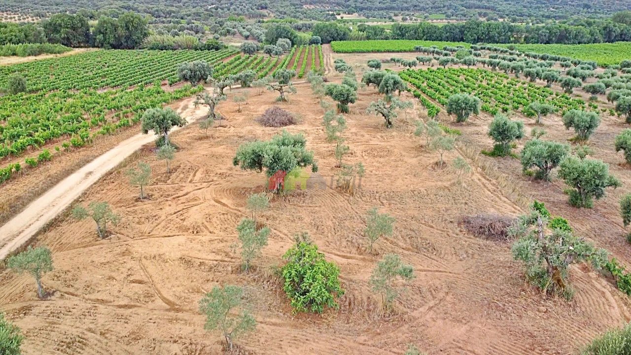 Terreno para Venda em Vila Alva Foto 17