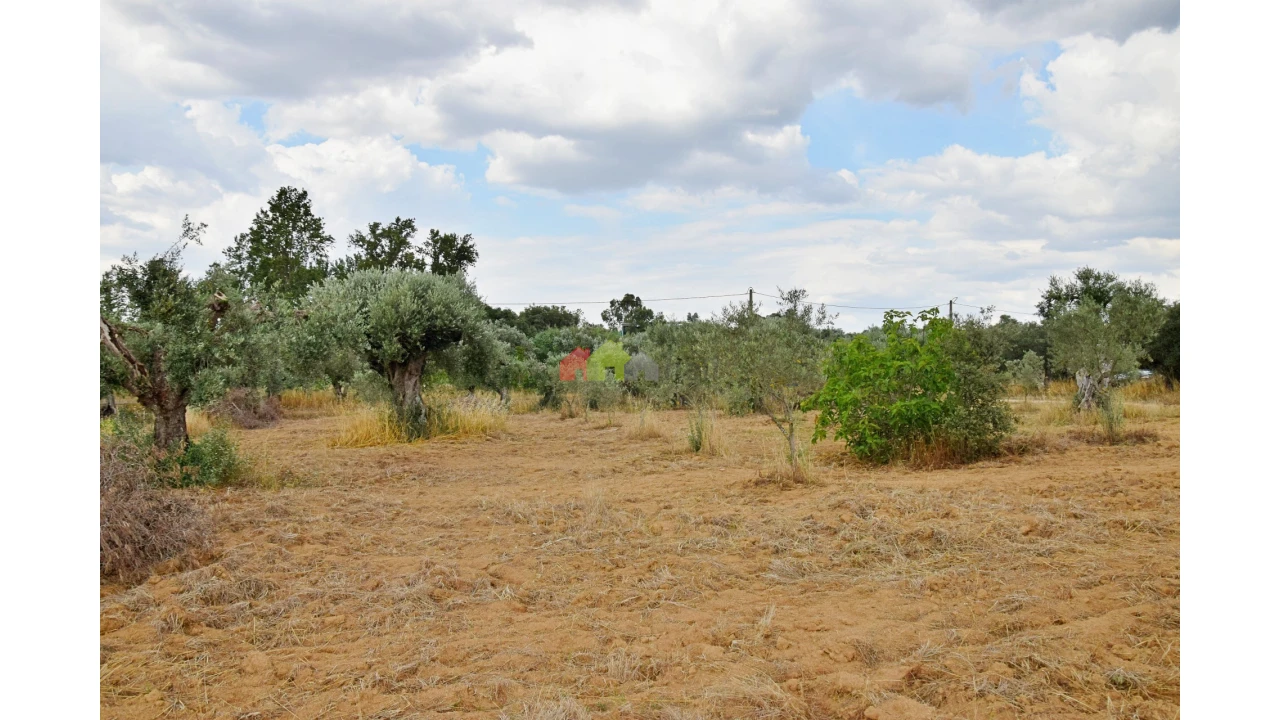 Terreno para Venda em Vila Alva Foto 5