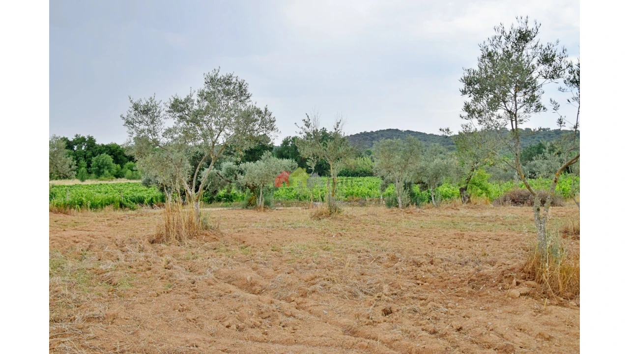 Terreno para Venda em Vila Alva Foto 6