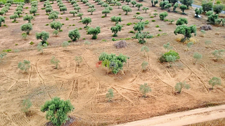 Terreno para Venda em Vila Alva Foto 15