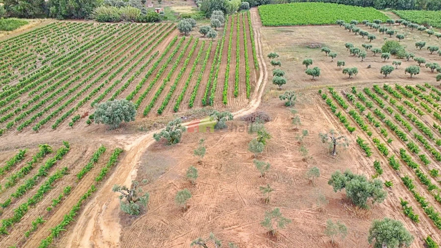 Terreno para Venda em Vila Alva Foto 13