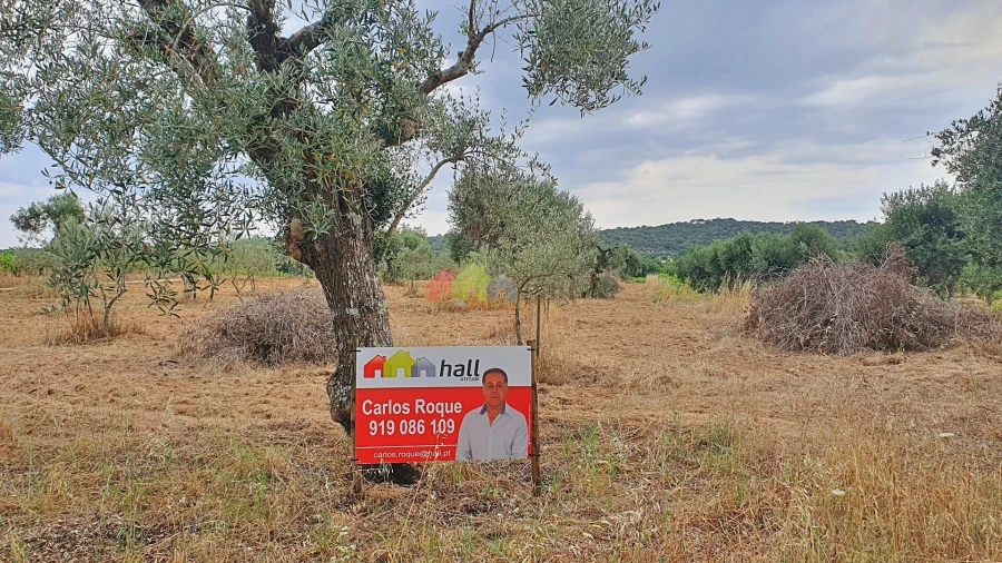 Terreno para Venda em Vila Alva Foto 10