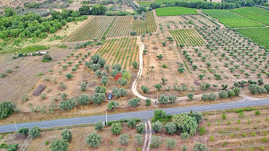 Terreno para Venda em Vila Alva Foto 14
