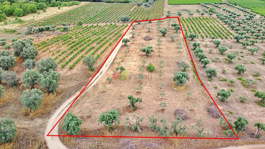 Terreno para Venda em Vila Alva Foto 12