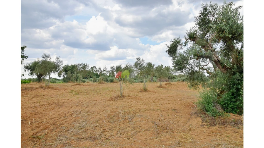 Terreno para Venda em Vila Alva Foto 9
