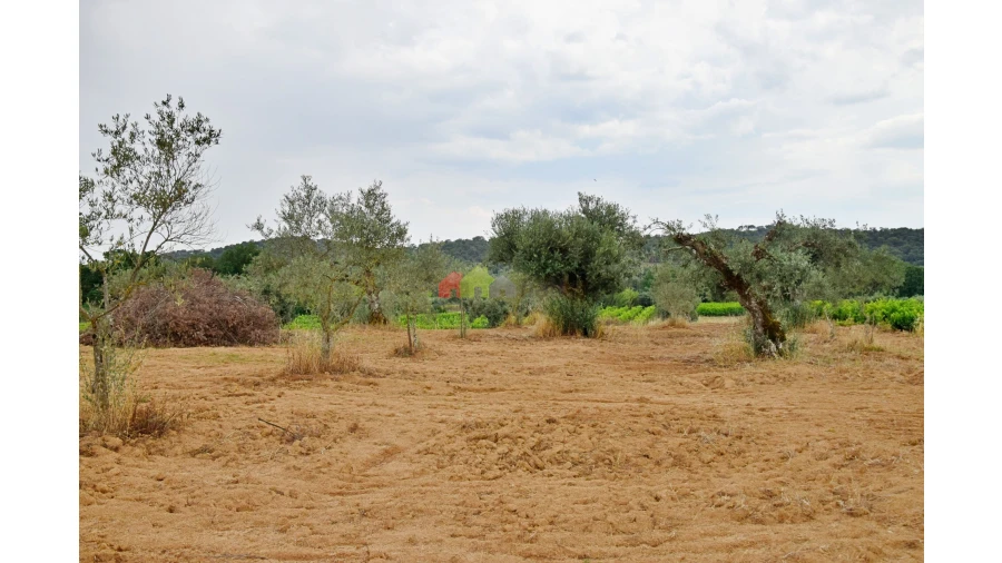 Terreno para Venda em Vila Alva Foto 4