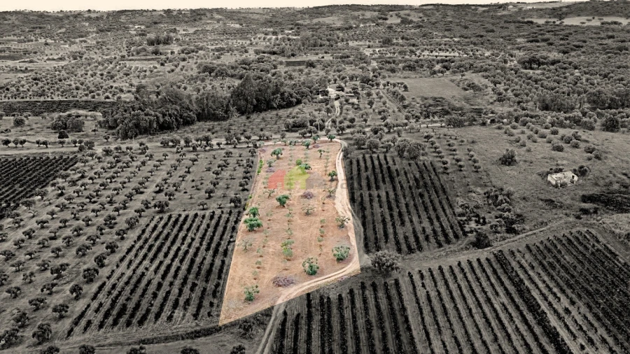 Terreno para Venda em Vila Alva Foto 16