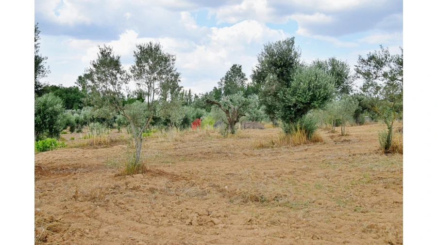 Terreno para Venda em Vila Alva