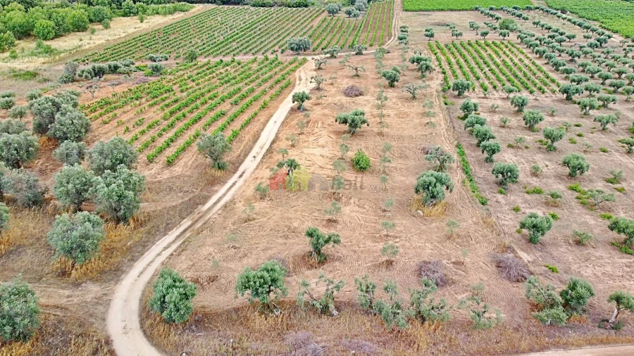Terreno para Venda em Vila Alva Foto 11