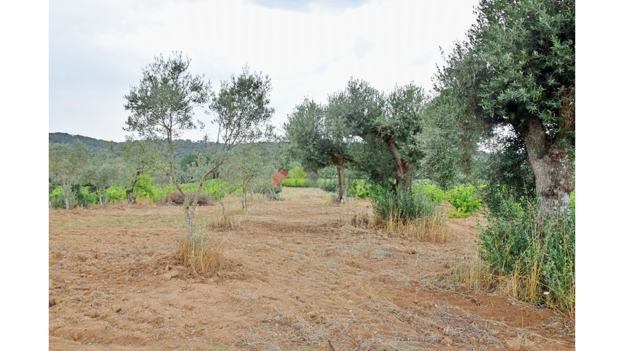 Terreno para Venda em Vila Alva Foto 3