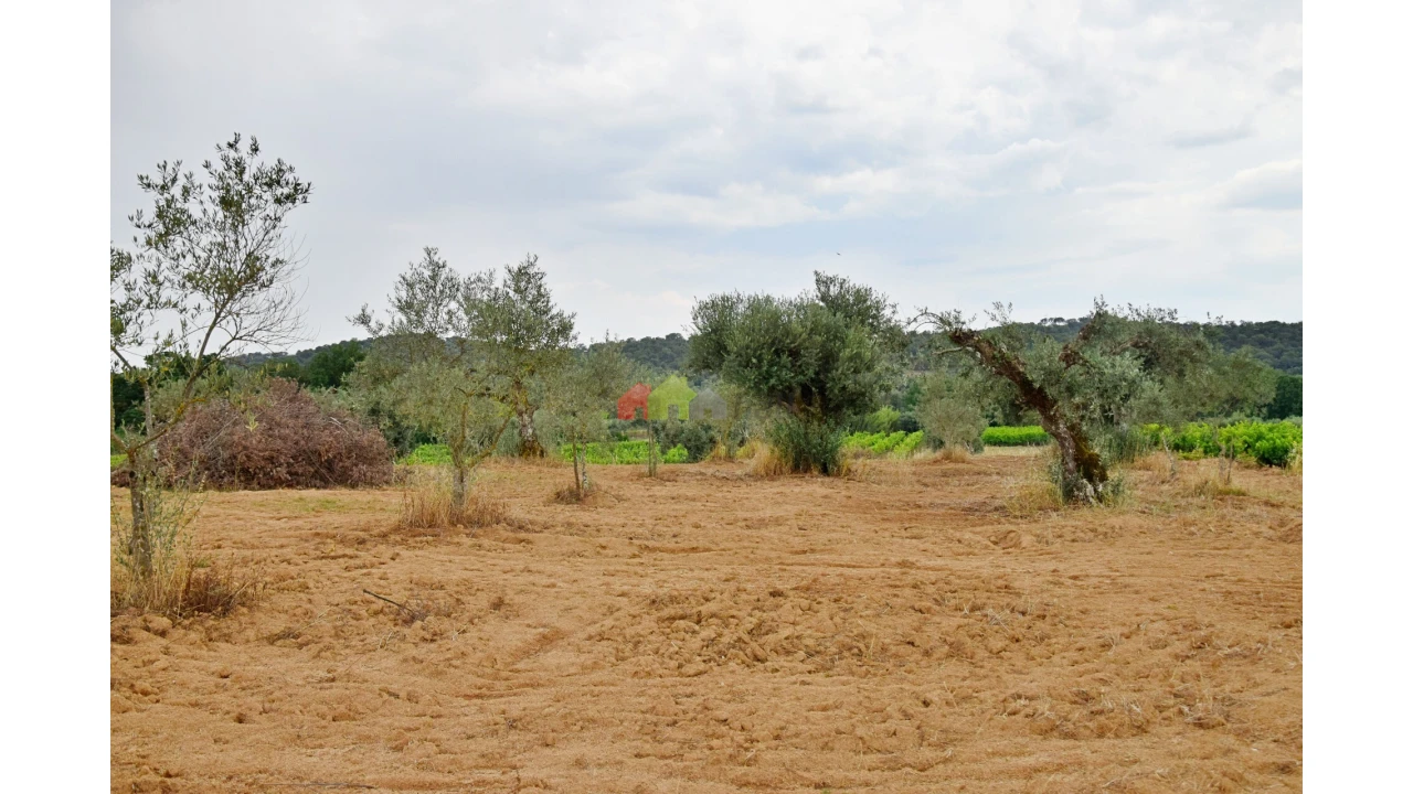 Terreno para Venda em Vila Alva Foto 4