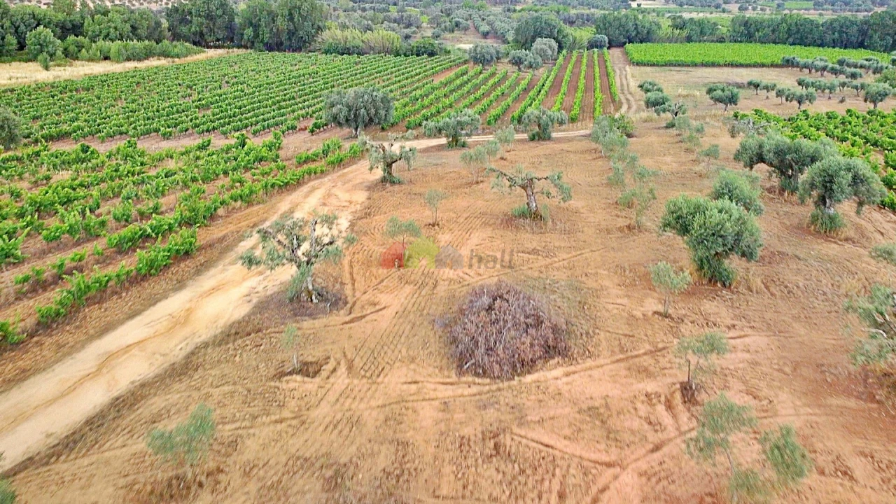 Terreno para Venda em Vila Alva Foto 21