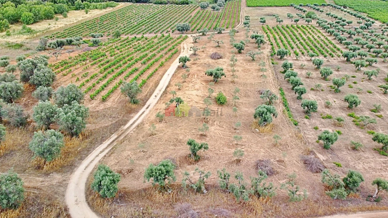 Terreno para Venda em Vila Alva Foto 11