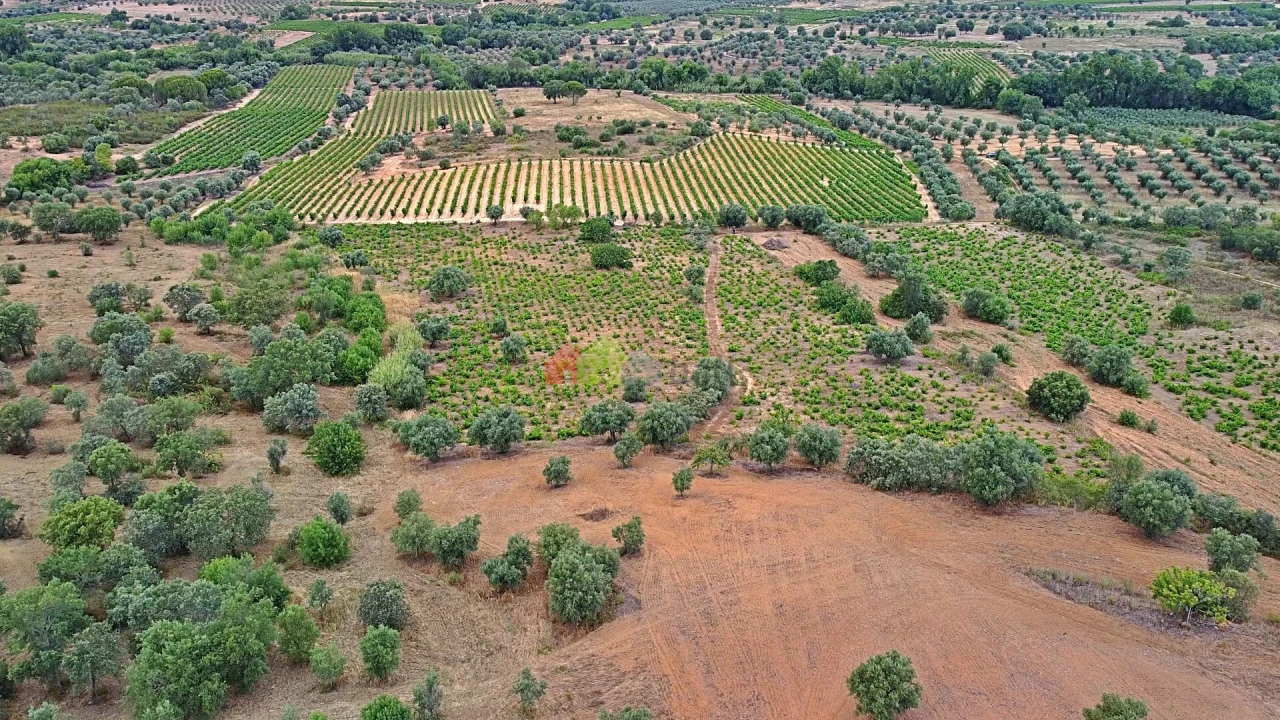 Terreno para Venda em Vila Alva Foto 25