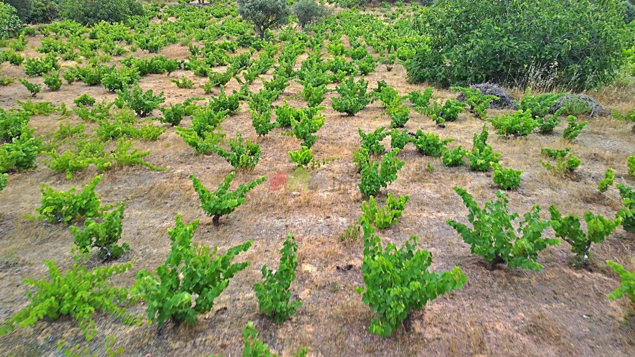 Terreno para Venda em Vila Alva Foto 27