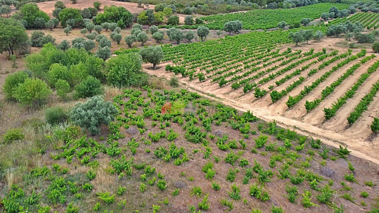 Terreno para Venda em Vila Alva Foto 32
