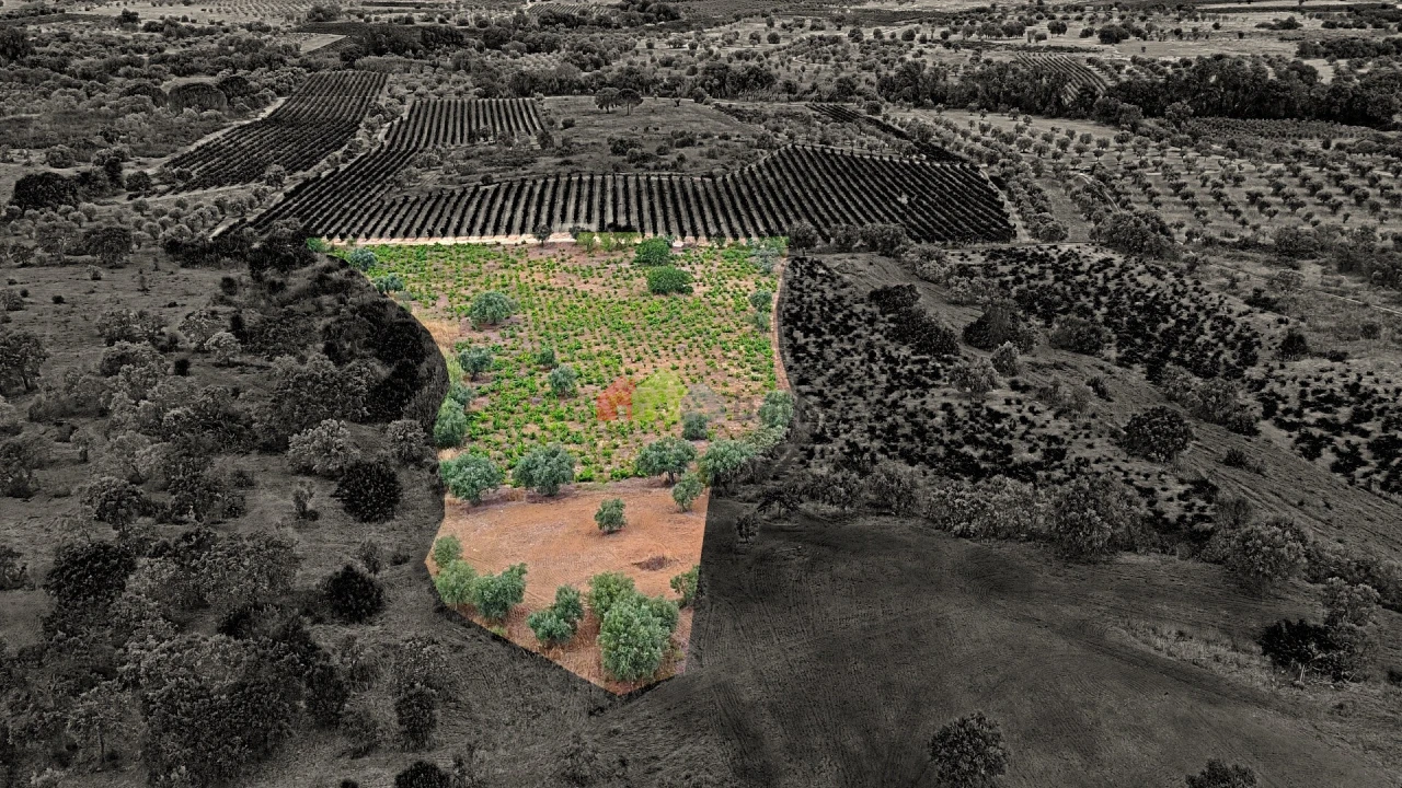 Terreno para Venda em Vila Alva Foto 14