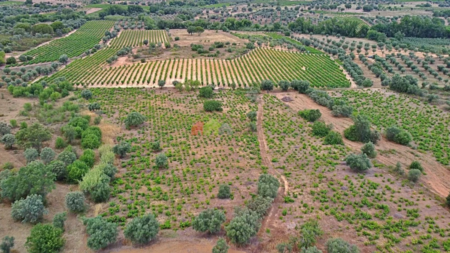 Terreno para Venda em Vila Alva Foto 31