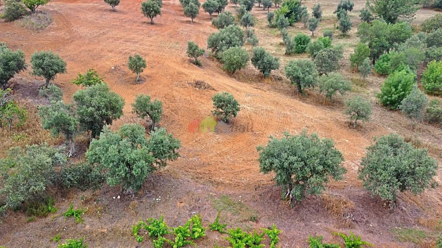 Terreno para Venda em Vila Alva Foto 24