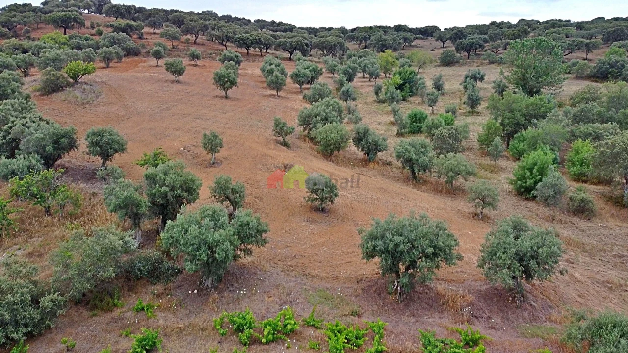 Terreno para Venda em Vila Alva Foto 18
