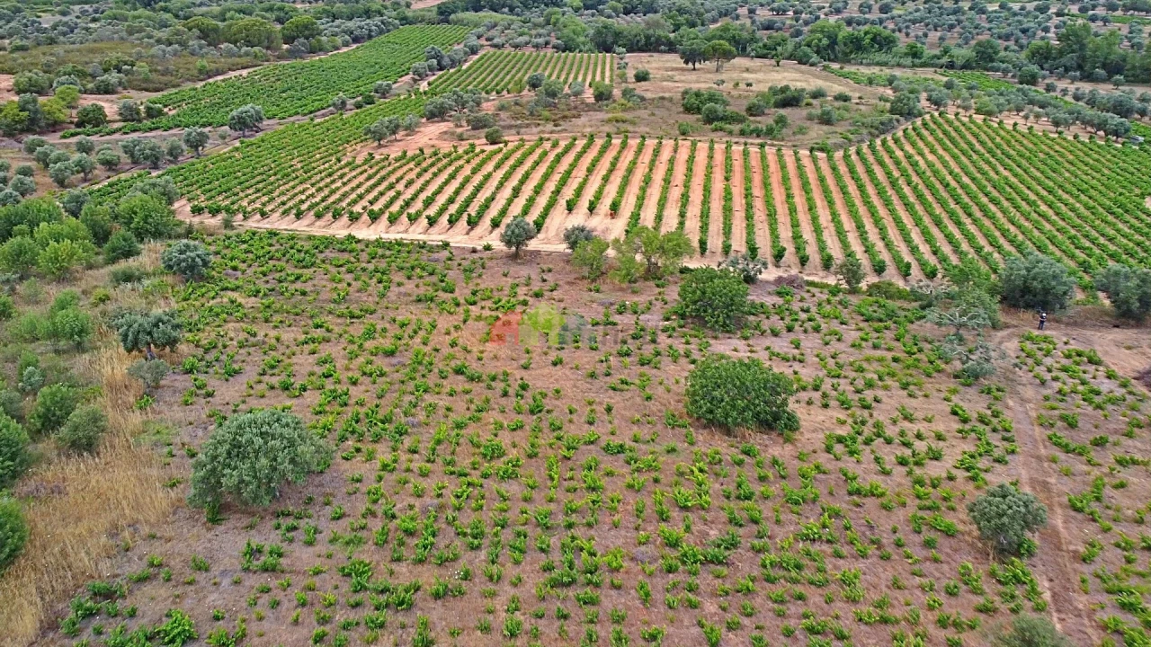 Terreno para Venda em Vila Alva Foto 20