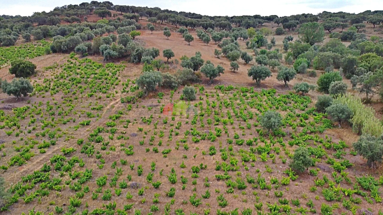 Terreno para Venda em Vila Alva Foto 26