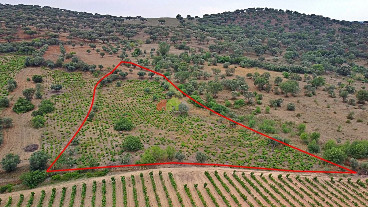 Terreno para Venda em Vila Alva Foto 16