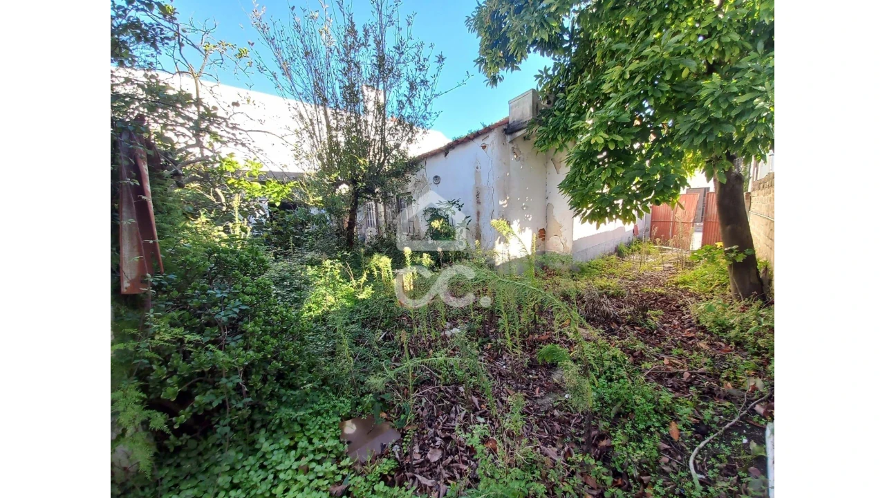 Moradia T3 para Venda em Vieira de Leiria Foto 5