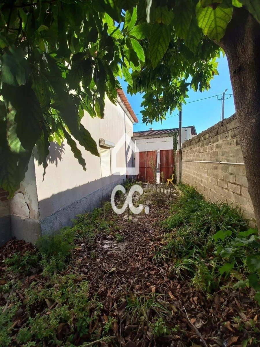 Moradia T3 para Venda em Vieira de Leiria Foto 11