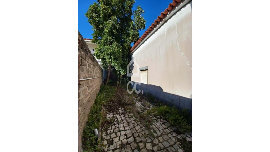 Moradia T3 para Venda em Vieira de Leiria Foto 5