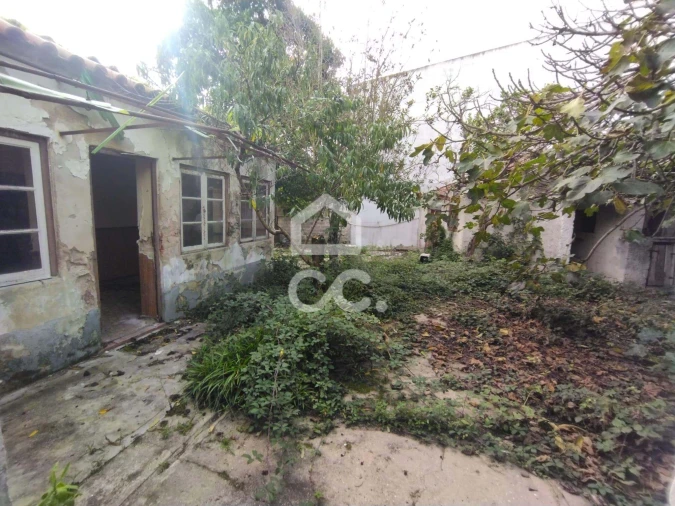 Moradia T3 para Venda em Vieira de Leiria Foto 7