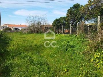 Terreno para Venda em Monte Real e Carvide